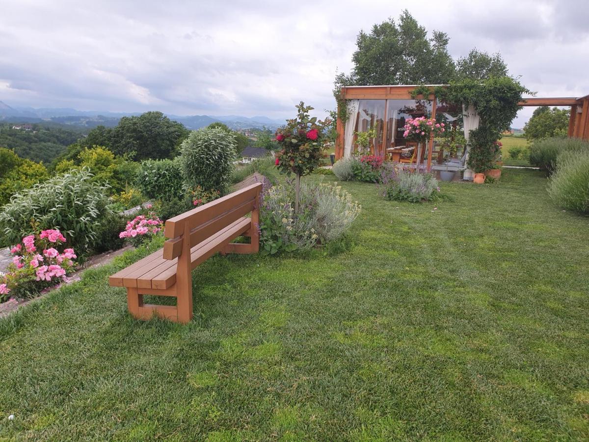 B&B Villa Angelina Rogaška Slatina Exterior foto