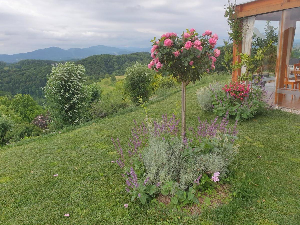 B&B Villa Angelina Rogaška Slatina Exterior foto