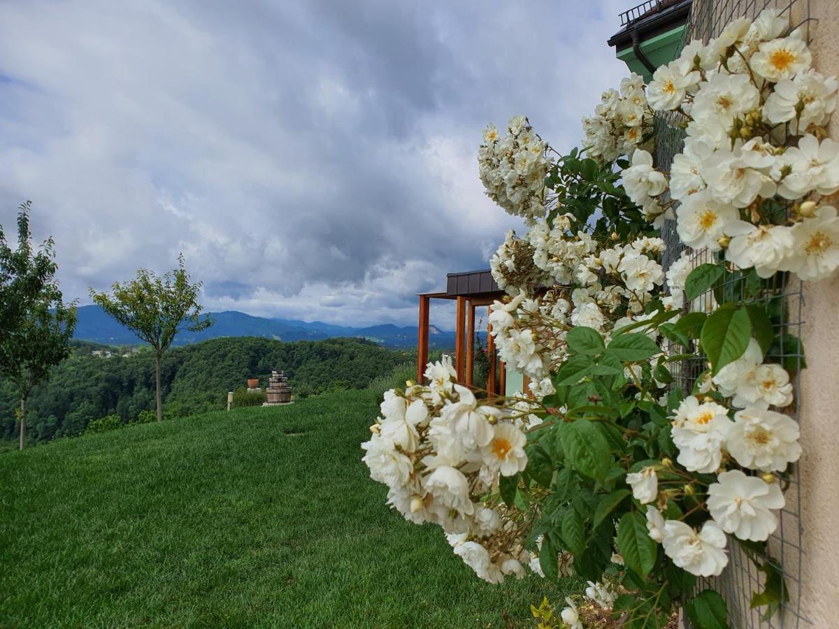 B&B Villa Angelina Rogaška Slatina Exterior foto